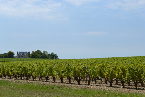 Um dos vários castelinhos de vinho perto de Médoc