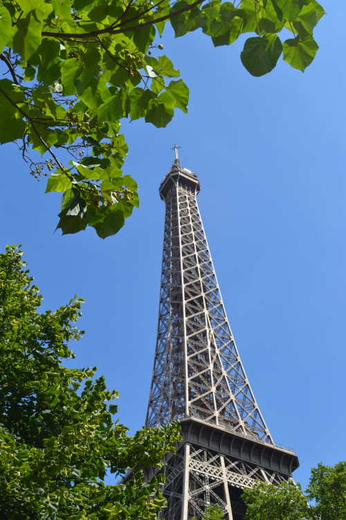 Uma pose incomum da Torre Eiffel :-)